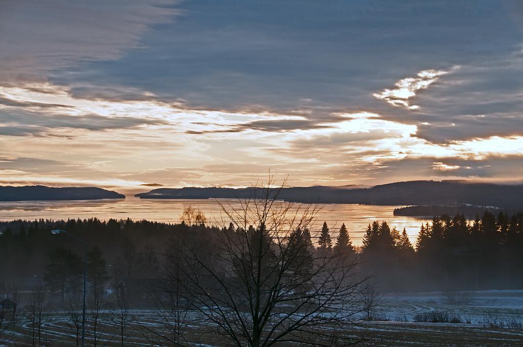 Langaenge Logi Tandsbyn Quarto foto